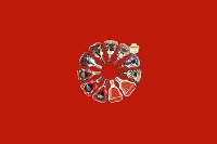 汕头濠江回收红酒